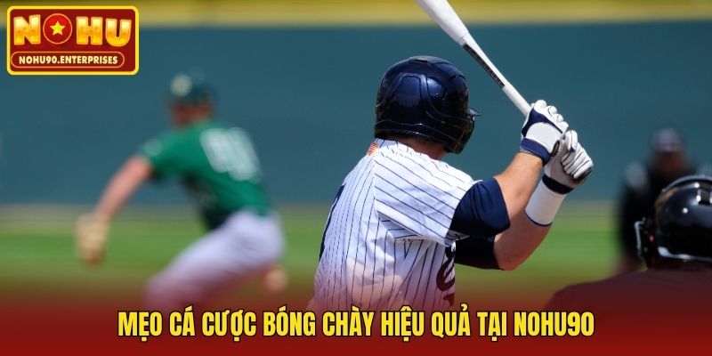 Mẹo cá cược bóng chày hiệu quả tại Nohu90